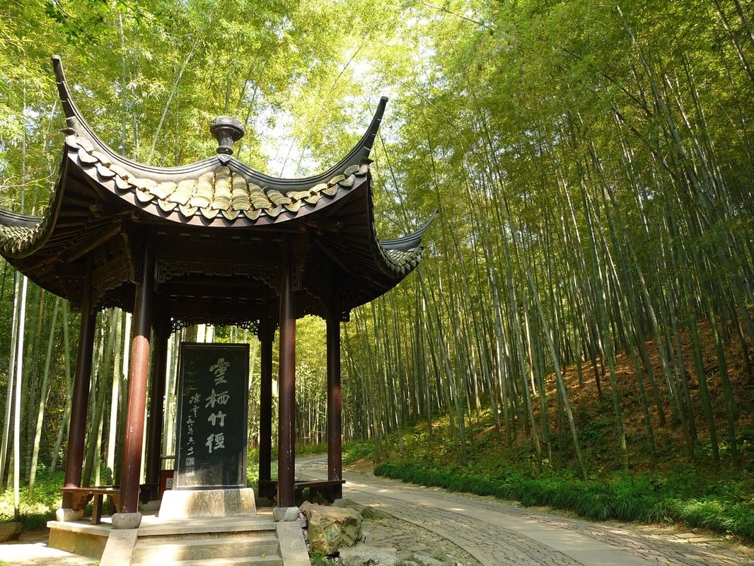 bamboo lined Path at Yunqi